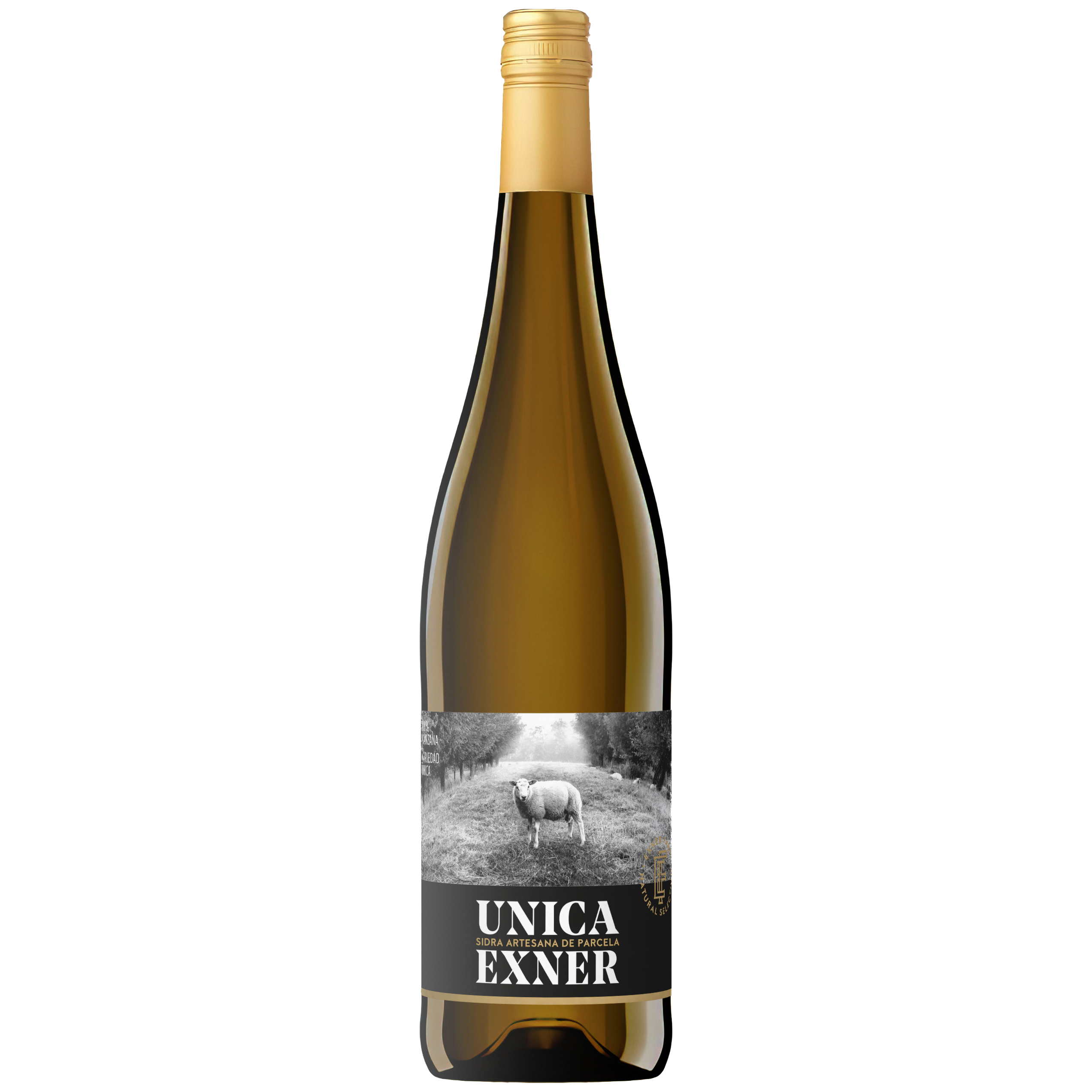 EXNER Sidra Artesana 75 cl. 3 bot. + Sidra Única 75 cl. 3 bot. caja de 6 - Imagen 4